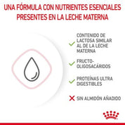 Con Royal Canin Babycat Milk – Leche para Gatitos 300 Gr 🐱🍼, tu gatito disfrutará de un inicio saludable y nutritivo en la vida, replicando la leche materna y enriquecida con DHA para el desarrollo cognitivo y visual.