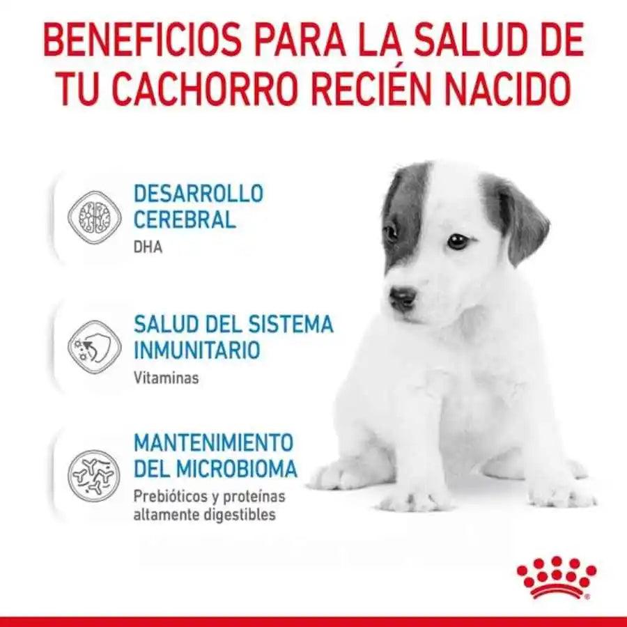 Royal Canin Babydog Milk - Leche para Cachorros 400G: ideal para cachorros de 0-2 meses, fácil de disolver, rica en DHA, favorece la digestión y el sistema inmunitario. 🐶🥛