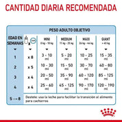 Royal Canin Babydog Milk - Leche para Cachorros 400G: ideal para cachorros de 0-2 meses, fácil de disolver, rica en DHA, favorece la digestión y el sistema inmunitario. 🐶🥛