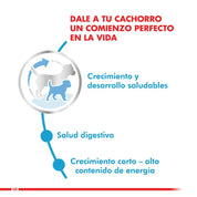 Royal Canin Medium Puppy: Alimento completo para cachorros de raza mediana, apoya crecimiento, desarrollo muscular y óseo, salud digestiva e inmunológica. Ingredientes de alta calidad. 🐶🐾