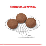 Royal Canin Medium Puppy: Alimento completo para cachorros de raza mediana, apoya crecimiento, desarrollo muscular y óseo, salud digestiva e inmunológica. Ingredientes de alta calidad. 🐶🐾