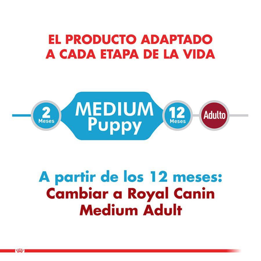 Royal Canin Medium Puppy 15KG: Alimento completo para cachorros de raza mediana, apoya crecimiento, desarrollo muscular y óseo, salud digestiva e inmunológica. Ingredientes de alta calidad. 🐶🐾