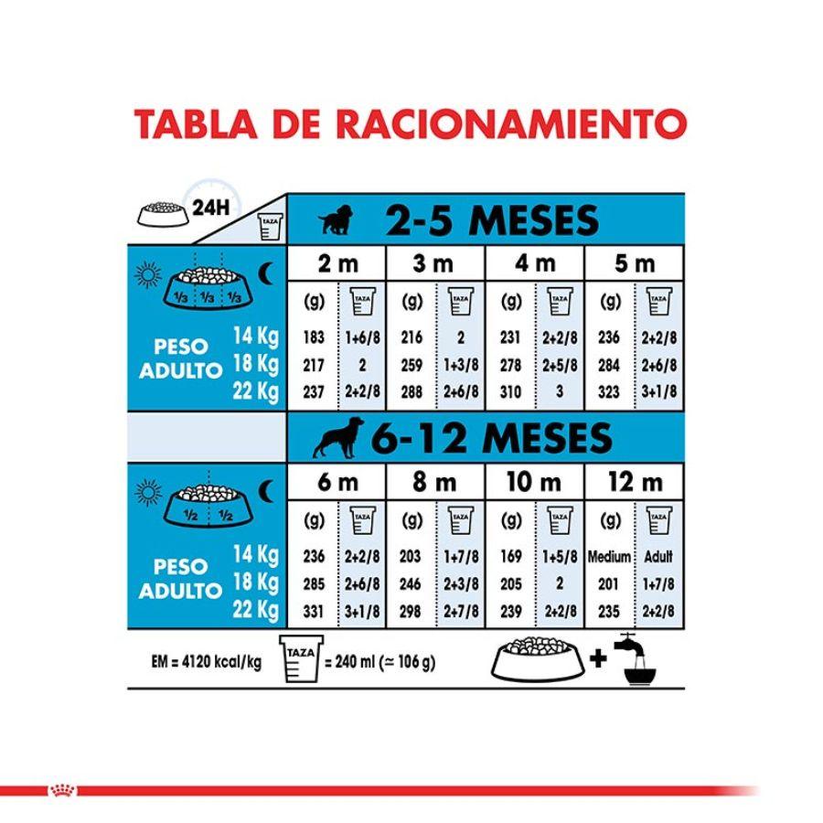 Royal Canin Medium Puppy 15KG: Alimento completo para cachorros de raza mediana, apoya crecimiento, desarrollo muscular y óseo, salud digestiva e inmunológica. Ingredientes de alta calidad. 🐶🐾