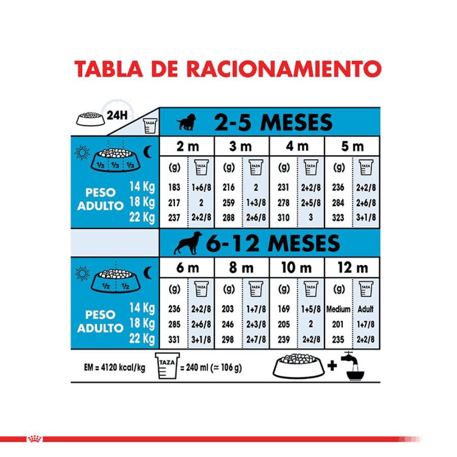 Royal Canin Medium Puppy: Alimento completo para cachorros de raza mediana, apoya crecimiento, desarrollo muscular y óseo, salud digestiva e inmunológica. Ingredientes de alta calidad. 🐶🐾