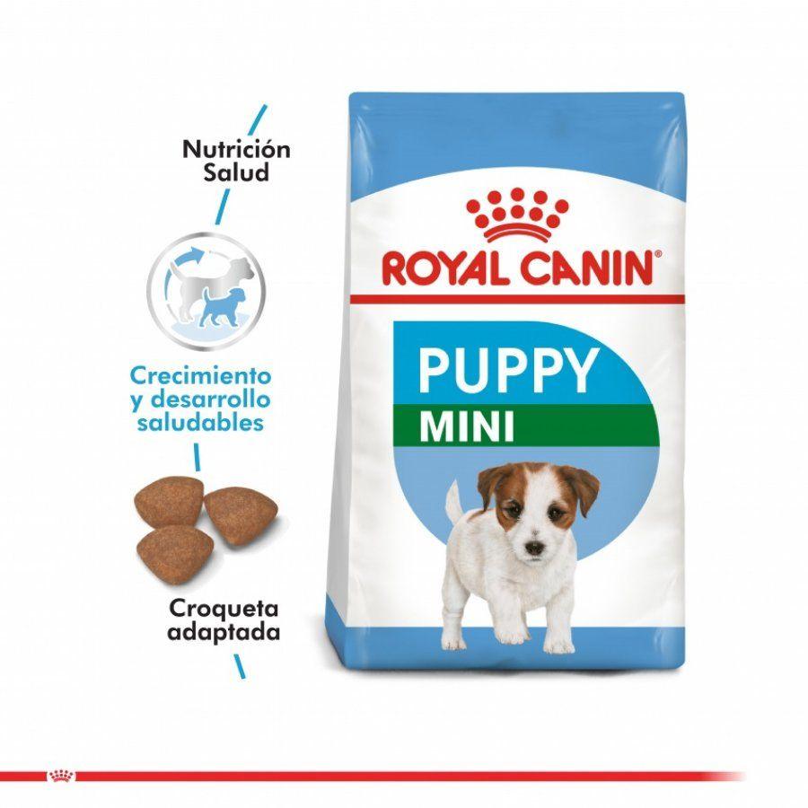 Royal Canin Mini Puppy 7,5Kg: Alimento para cachorros de razas pequeñas hasta 10 meses. Apoya el desarrollo muscular y óseo, alta palatabilidad, digestión óptima, soporte inmunológico y salud dental. 🐶🦴