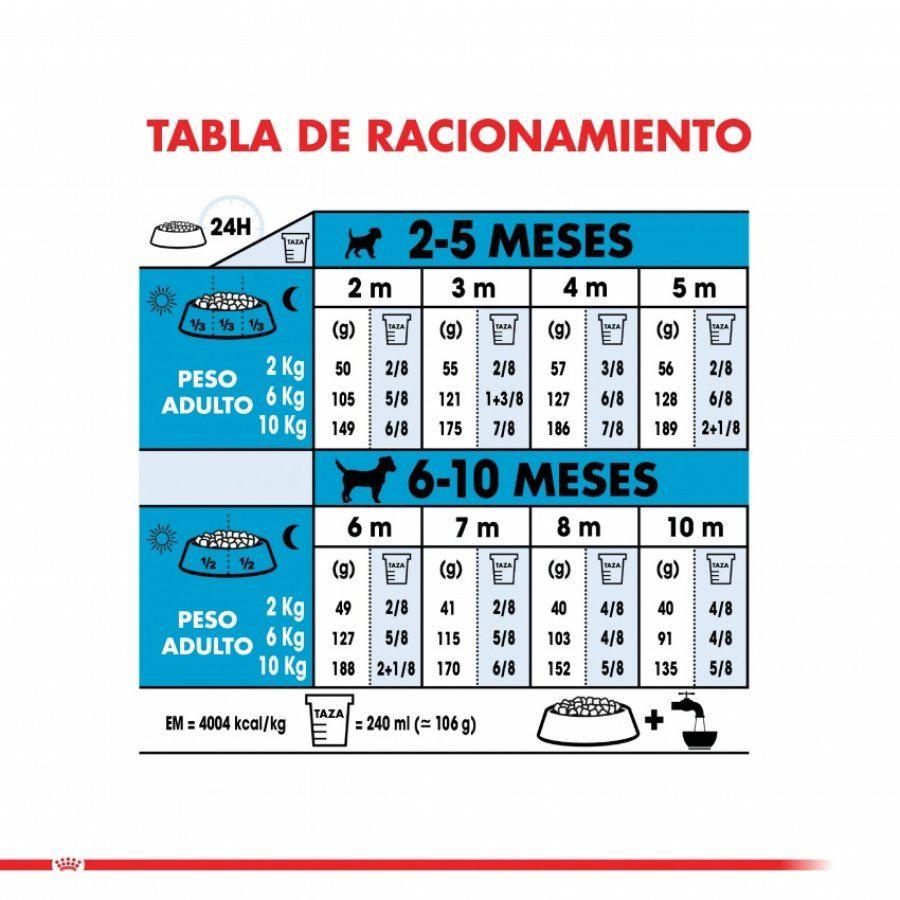 Royal Canin Mini Puppy 7,5Kg: Alimento para cachorros de razas pequeñas hasta 10 meses. Apoya el desarrollo muscular y óseo, alta palatabilidad, digestión óptima, soporte inmunológico y salud dental. 🐶🦴