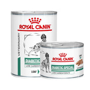 Royal Canin Diabetic Perro Lata 🐶 ayuda a regular la glucosa en perros diabéticos, con bajo almidón, alto contenido proteico y antioxidantes esenciales.