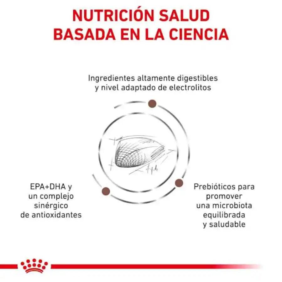 Royal Canin Gastrointestinal Gato 2kg, formulado para la salud digestiva y reducción de problemas de absorción intestinal. Alta energía y palatabilidad para gatos con sensibilidad gastrointestinal.