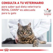 Royal Canin Gastrointestinal Gato 2kg, formulado para la salud digestiva y reducción de problemas de absorción intestinal. Alta energía y palatabilidad para gatos con sensibilidad gastrointestinal.