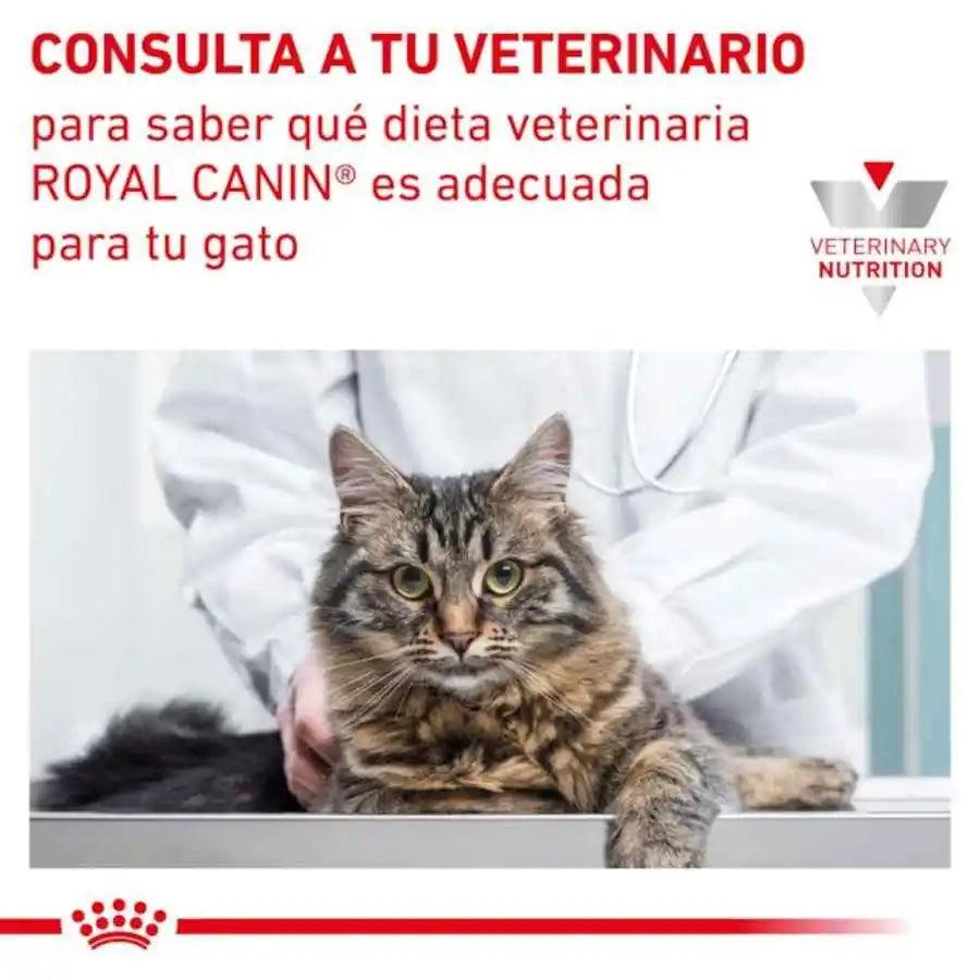 Royal Canin Gastrointestinal Gato 2kg, formulado para la salud digestiva y reducción de problemas de absorción intestinal. Alta energía y palatabilidad para gatos con sensibilidad gastrointestinal.