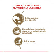 Royal Canin Gato Senior Ageing +12 2kg 🐾 nutre a gatos mayores con antioxidantes, cuidado renal y croquetas de doble textura. Ideal para su salud integral.