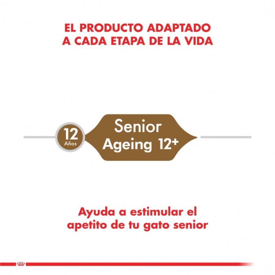 Royal Canin Gato Senior Ageing +12 2kg 🐾 nutre a gatos mayores con antioxidantes, cuidado renal y croquetas de doble textura. Ideal para su salud integral.