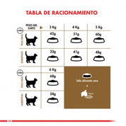 Royal Canin Gato Senior Ageing +12 2kg 🐾 nutre a gatos mayores con antioxidantes, cuidado renal y croquetas de doble textura. Ideal para su salud integral.