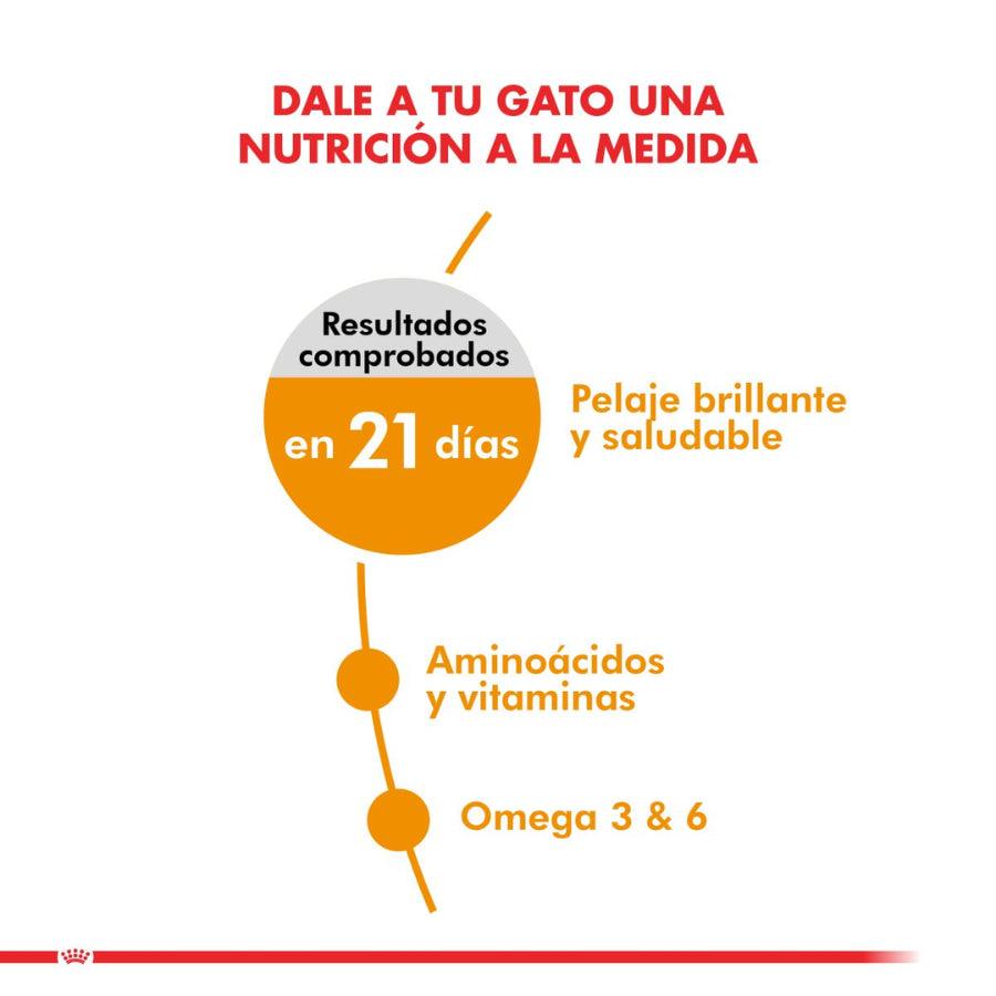 Royal Canin Hair & Skin Care: Alimento completo para gatos adultos. Mejora la salud del pelo y la piel, con nutrientes específicos para refuerzo cutáneo y brillo del pelaje. 🐱🍲🌟