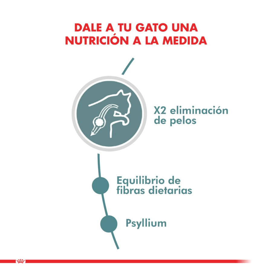 Royal Canin Hairball Care: Alimento para gatos adultos, reduce la formación de bolas de pelo y estimula el tránsito intestinal. Salud urinaria equilibrada. 🐱🍲