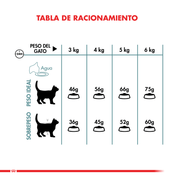 Royal Canin Hairball Care: Alimento para gatos adultos, reduce la formación de bolas de pelo y estimula el tránsito intestinal. Salud urinaria equilibrada. 🐱🍲