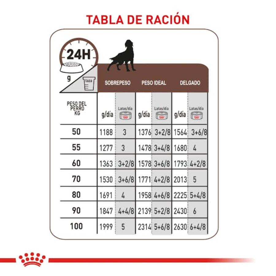 Royal Canin Hepatic Perro Lata 🐶, alimento terapéutico bajo en cobre y alto en energía, ideal para perros con problemas hepáticos.