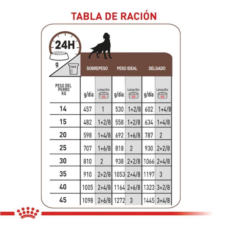 Royal Canin Hepatic Perro Lata 🐶, alimento terapéutico bajo en cobre y alto en energía, ideal para perros con problemas hepáticos.