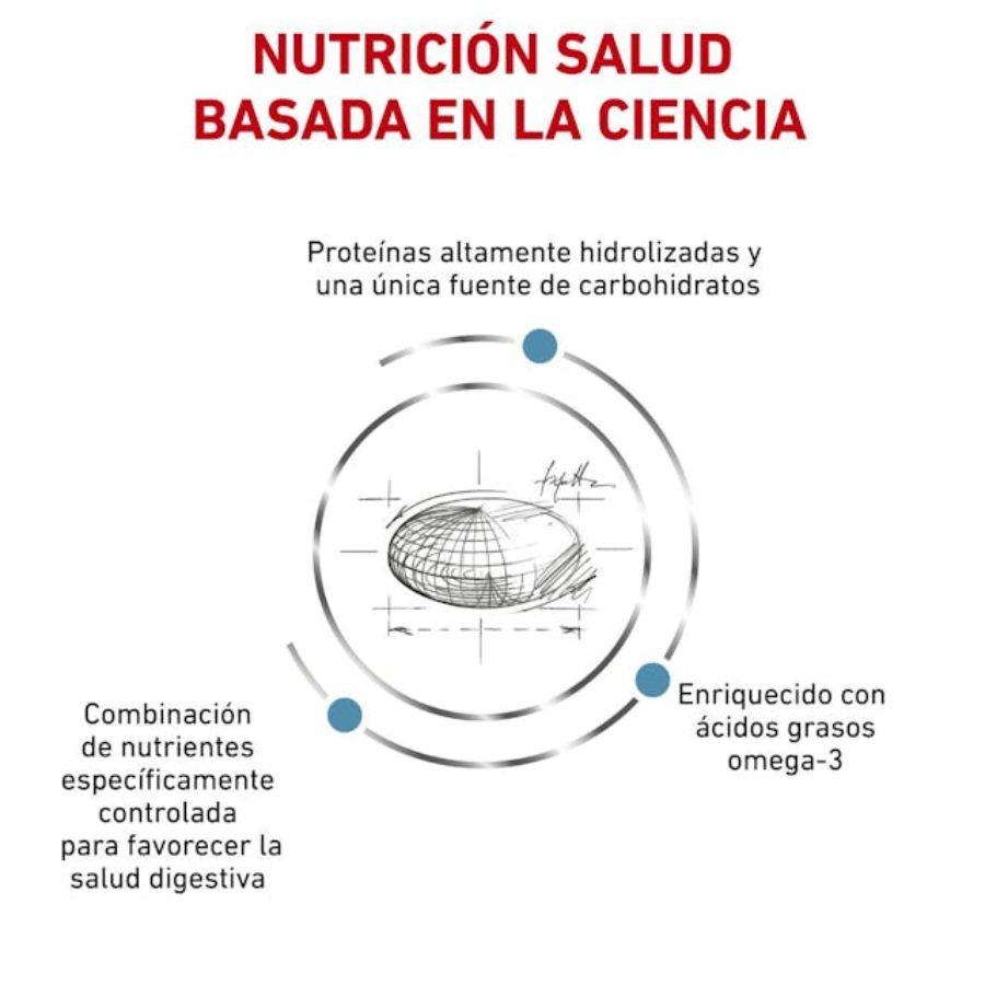 Royal Canin Hypoallergenic Perro 2Kg: Alimento dietético completo para perros con alergias alimentarias, con proteína hidrolizada y libre de gluten y lactosa, para una salud digestiva óptima. 🐾❤️