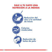 Royal Canin Indoor Feline 400G: Alimento seco para gatos adultos de interior. Reduce olores y cantidad de heces, controla peso y bolas de pelo. Alta digestibilidad y nutrientes balanceados. 🐱🏠🐾