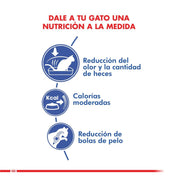 Royal Canin Indoor Feline: Alimento seco para gatos adultos de interior. Reduce olores y cantidad de heces, controla peso y bolas de pelo. Alta digestibilidad y nutrientes balanceados. 🐱🏠🐾