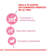 Royal Canin Kitten Sterilised 400g: Alimento diseñado para gatitos esterilizados, equilibra las necesidades nutricionales con control de peso para un desarrollo saludable. 🐱🍲🐾