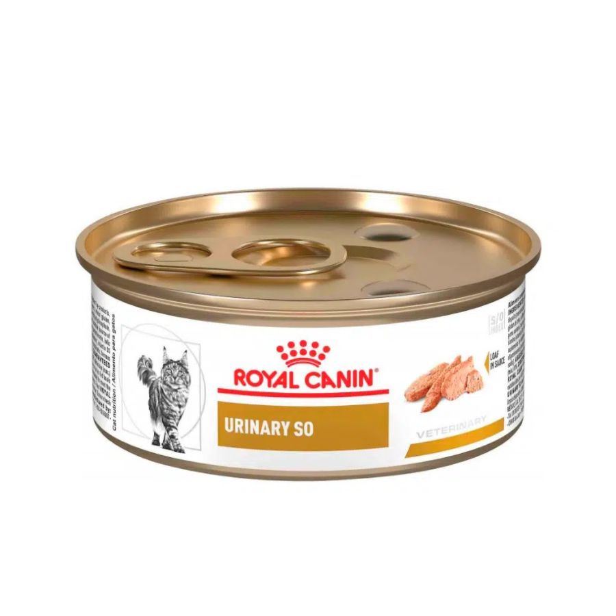 Alimento húmedo Royal Canin Urinary S/O 🐱🍽 para gatos, disuelve cálculos de estruvita y previene su formación. Promueve una salud urinaria óptima, baja en magnesio.