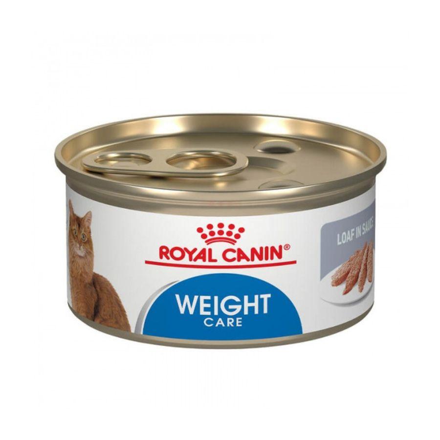 Royal Canin Pouch Weight Care Feline: Alimento húmedo para control de peso en gatos, con 15% menos calorías y L-Carnitina. Proteínas de alta calidad para masa muscular, salud urinaria. 🐱🍲⚖️