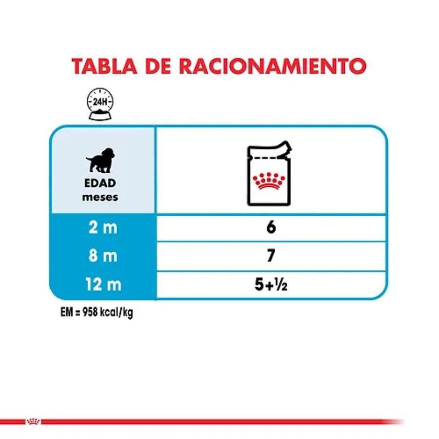 Royal Canin Medium Puppy Pouch: Alimento húmedo completo para cachorros de razas medianas hasta 10 meses. Soporta crecimiento, inmunidad y salud digestiva. Balanceado y sabroso. 🐶🍲🐾