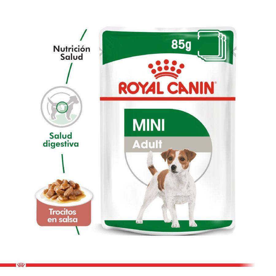 Royal Canin Mini Adult Pouch 85 grs: Alimento húmedo para perros adultos de razas pequeñas. Formulado para mantener el peso ideal y apoyar la salud general. Nutrición equilibrada y sabrosa. 🐶🍲🌟