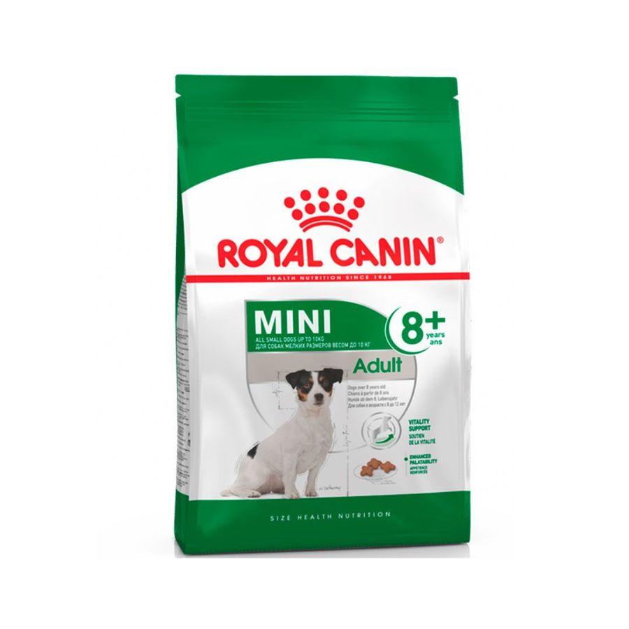 Royal Canin Mini Adulto 8+ 3kg 🐕, nutrición avanzada para perros pequeños. Combate el envejecimiento, refuerza la vitalidad y mantiene el peso ideal.