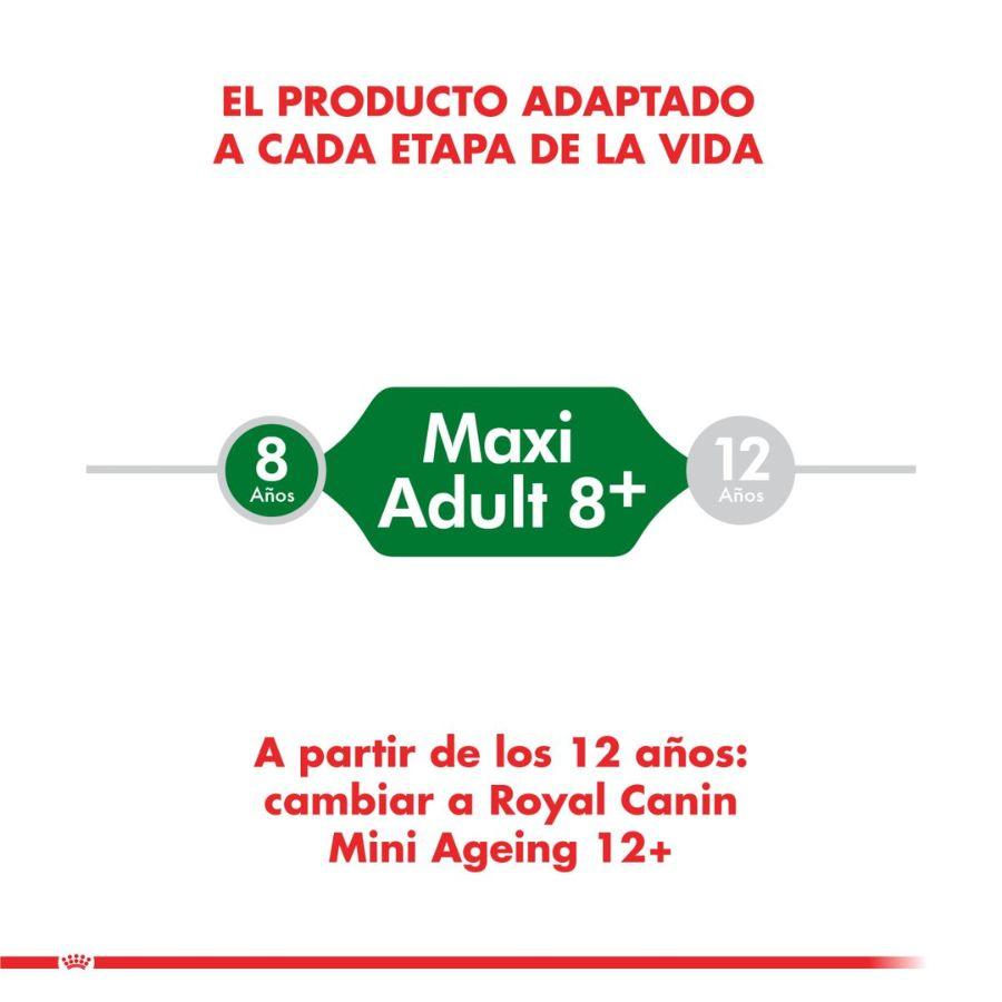 Royal Canin Mini Adulto 8+ 3kg 🐕, nutrición avanzada para perros pequeños. Combate el envejecimiento, refuerza la vitalidad y mantiene el peso ideal.