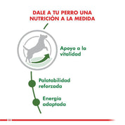 Royal Canin Mini Adulto 8+ 3kg 🐕, nutrición avanzada para perros pequeños. Combate el envejecimiento, refuerza la vitalidad y mantiene el peso ideal.