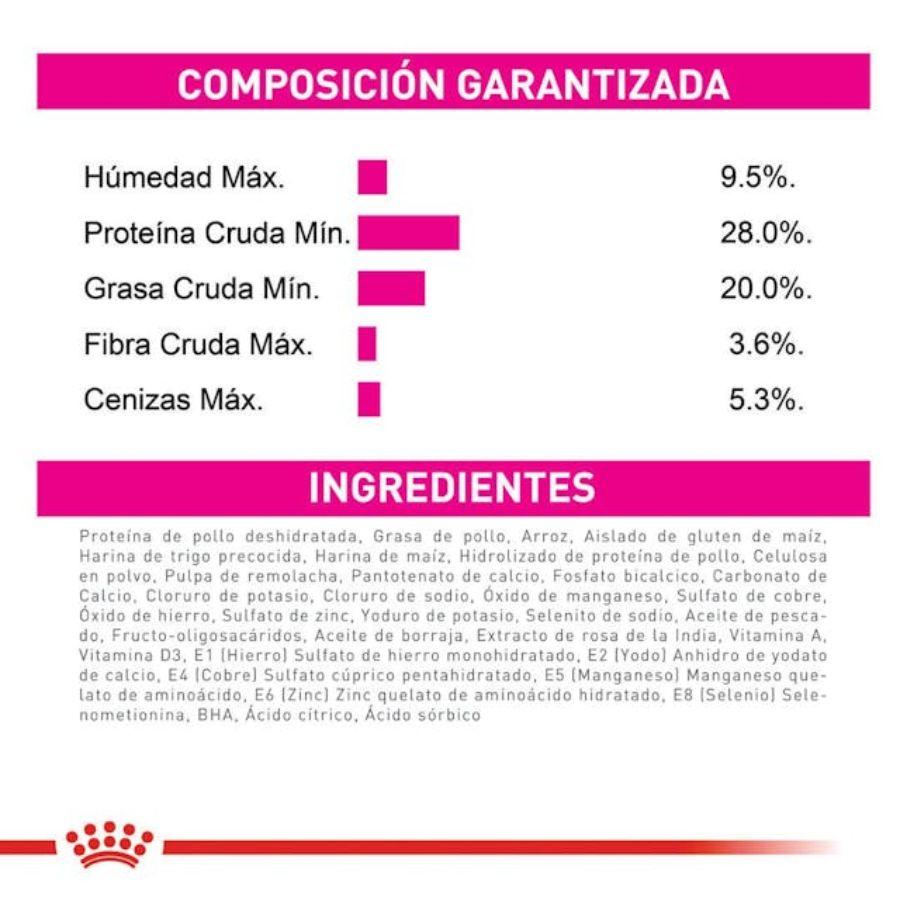 Royal Canin Mini Exigent 1kg, diseñado para perros pequeños con paladares exigentes. Ingredientes de alta calidad y una textura irresistible. Nutrición completa y equilibrada.