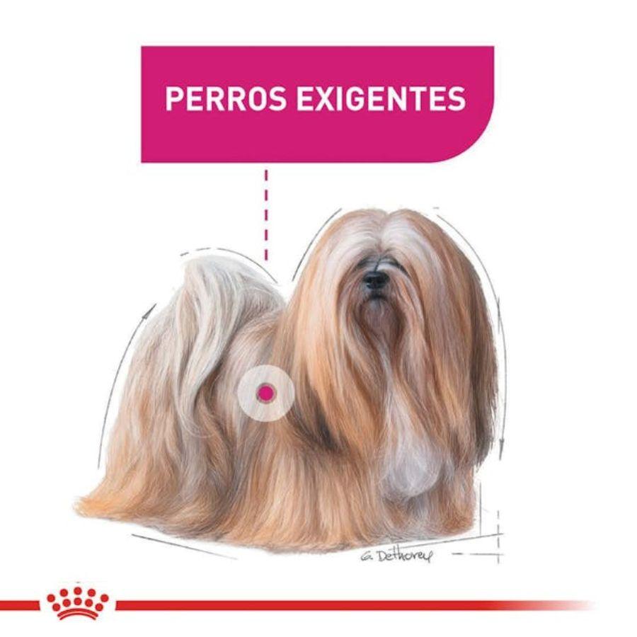 Royal Canin Mini Exigent 1kg, diseñado para perros pequeños con paladares exigentes. Ingredientes de alta calidad y una textura irresistible. Nutrición completa y equilibrada.