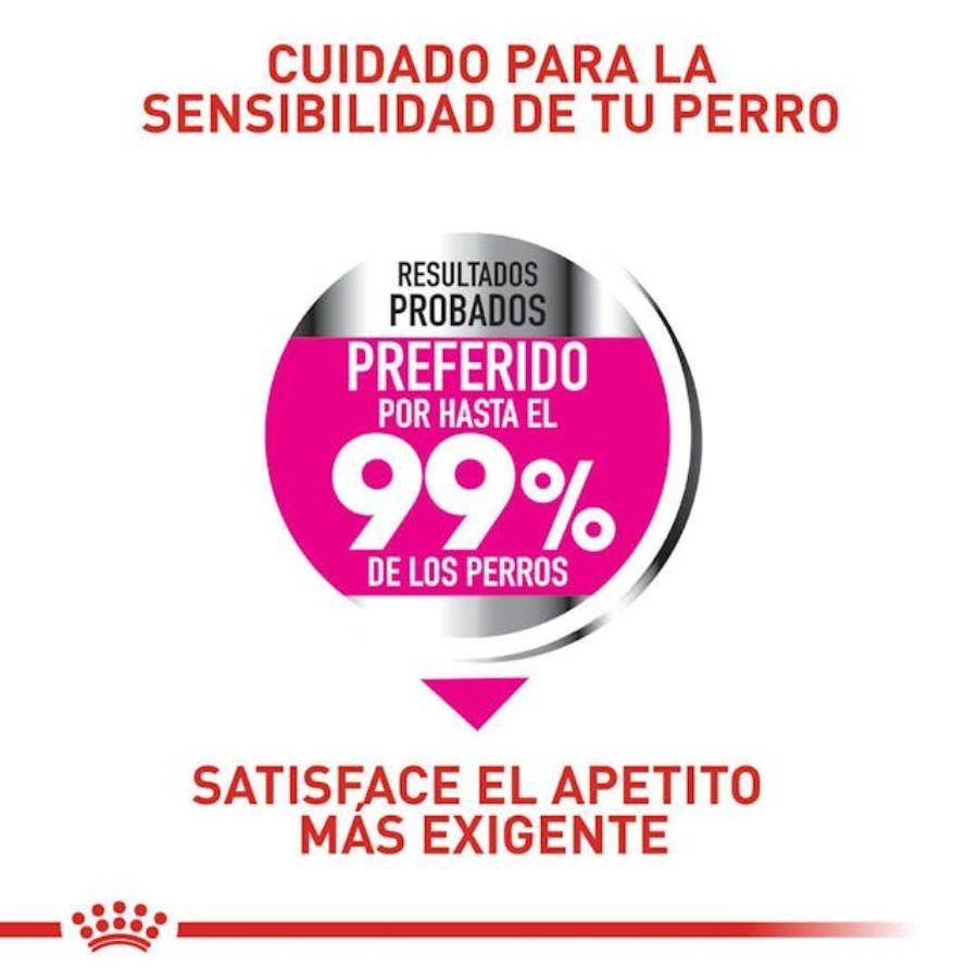 Royal Canin Mini Exigent 1kg, diseñado para perros pequeños con paladares exigentes. Ingredientes de alta calidad y una textura irresistible. Nutrición completa y equilibrada.