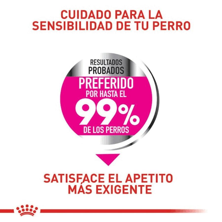 Royal Canin Mini Exigent 3kg, diseñado para perros pequeños con paladares exigentes. Ingredientes de alta calidad y una textura irresistible. Nutrición completa y equilibrada.