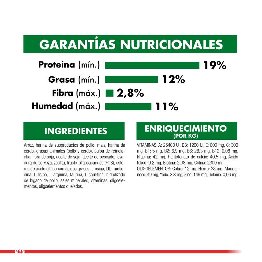 Royal Canin Mini Indoor Adulto 3kg 🏠 para perros pequeños que viven en casa. Reduce el olor de las heces y mantiene su peso ideal con ingredientes digestibles.