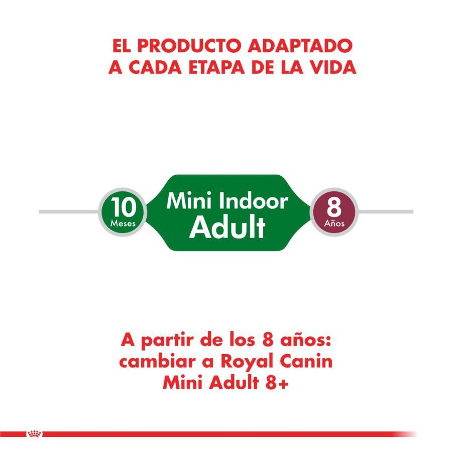 Royal Canin Mini Indoor Adulto 3kg 🏠 para perros pequeños que viven en casa. Reduce el olor de las heces y mantiene su peso ideal con ingredientes digestibles.