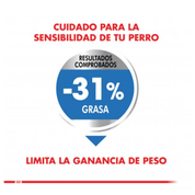 Royal Canin Mini Light 2.5KG: Alimento para perros pequeños propensos al sobrepeso. 12% menos calorías que Small Adult, alto en proteínas y bajo en grasas. Promueve salud dental y sacia el apetito. 🐶🍲🐾