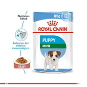 Royal Canin Mini Puppy Pouch: Alimento húmedo para cachorros de razas pequeñas. Favorece crecimiento, inmunidad y digestión. Alta energía y nutrientes esenciales. 🐶🍲🌱