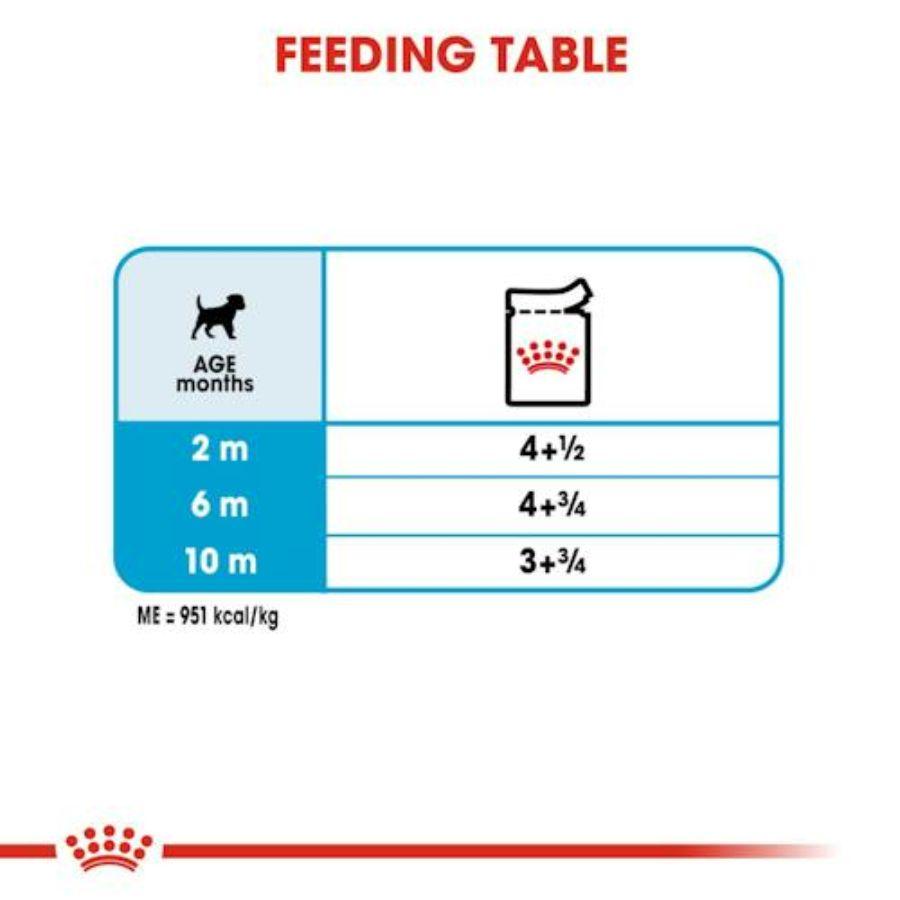 Royal Canin Mini Puppy Pouch: Alimento húmedo para cachorros de razas pequeñas. Favorece crecimiento, inmunidad y digestión. Alta energía y nutrientes esenciales. 🐶🍲🌱