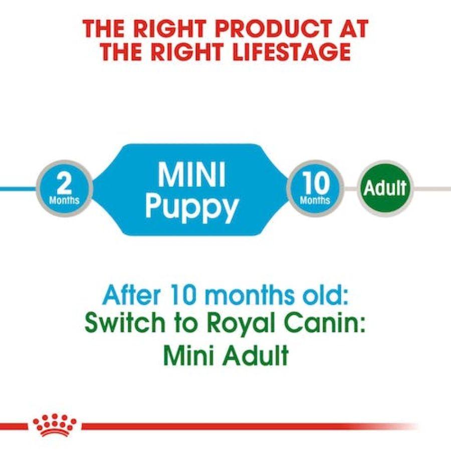 Royal Canin Mini Puppy Pouch: Alimento húmedo para cachorros de razas pequeñas. Favorece crecimiento, inmunidad y digestión. Alta energía y nutrientes esenciales. 🐶🍲🌱