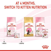 Royal Canin Mother & Babycat Lata 145gr: Alimento de iniciación para gatitos con textura mousse, apoya el microbioma y el sistema inmunológico. ¡Ideal para la salud de tu gatito! 🐱🍼🐾