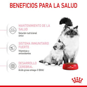 Royal Canin Mother & Babycat: Alimento para gatas en gestación/lactancia y gatitos hasta 4 meses. Facilita el destete, refuerza el sistema inmunitario y promueve la salud digestiva y cerebral. 🐱🍼🐾