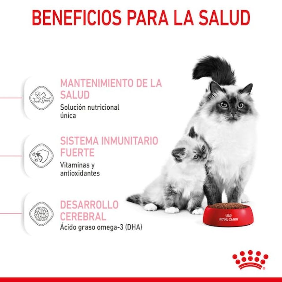 Royal Canin Mother & Babycat: Alimento para gatas en gestación/lactancia y gatitos hasta 4 meses. Facilita el destete, refuerza el sistema inmunitario y promueve la salud digestiva y cerebral. 🐱🍼🐾