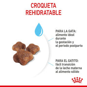 Royal Canin Mother & Babycat: Alimento para gatas en gestación/lactancia y gatitos hasta 4 meses. Facilita el destete, refuerza el sistema inmunitario y promueve la salud digestiva y cerebral. 🐱🍼🐾