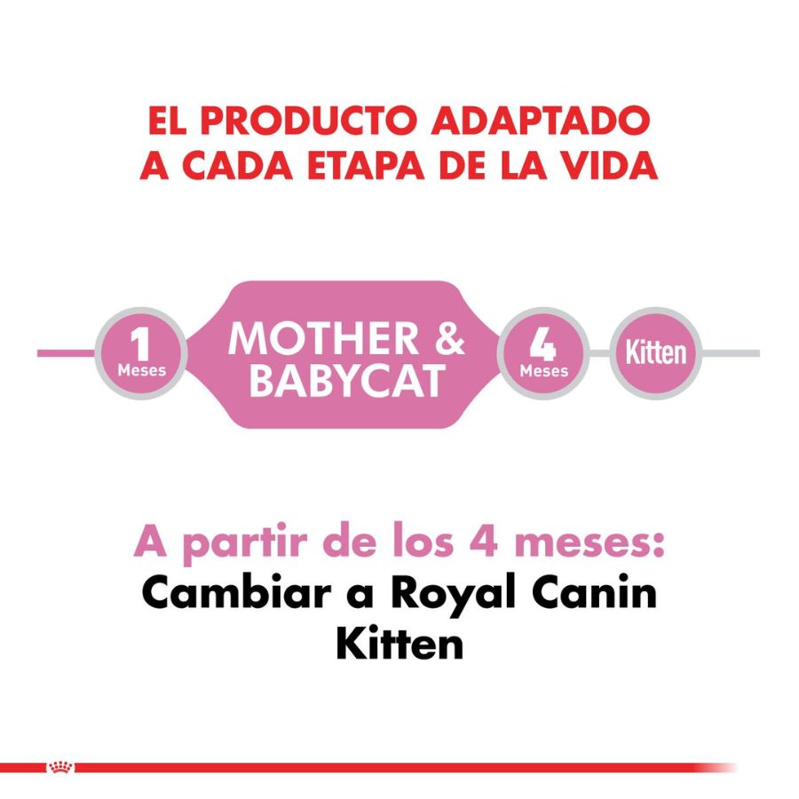 Royal Canin Mother & Babycat: Alimento para gatas en gestación/lactancia y gatitos hasta 4 meses. Facilita el destete, refuerza el sistema inmunitario y promueve la salud digestiva y cerebral. 🐱🍼🐾