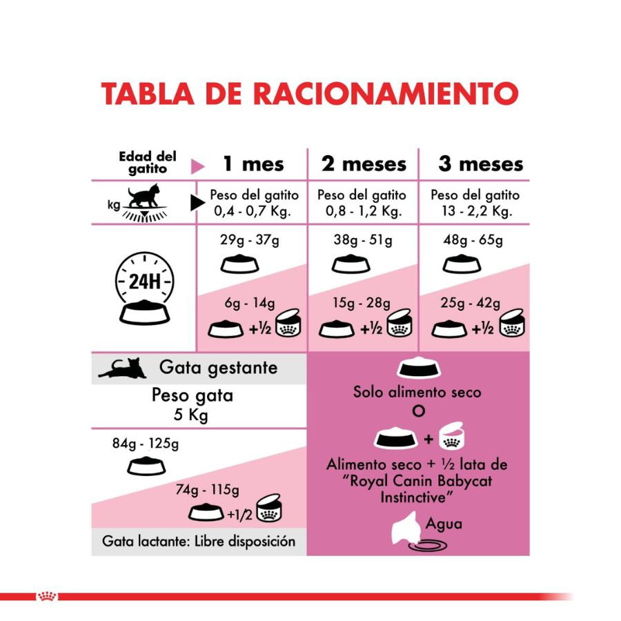 Royal Canin Mother & Babycat: Alimento para gatas en gestación/lactancia y gatitos hasta 4 meses. Facilita el destete, refuerza el sistema inmunitario y promueve la salud digestiva y cerebral. 🐱🍼🐾