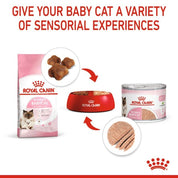 Royal Canin Mother & Babycat Lata 145gr: Alimento de iniciación para gatitos con textura mousse, apoya el microbioma y el sistema inmunológico. ¡Ideal para la salud de tu gatito! 🐱🍼🐾